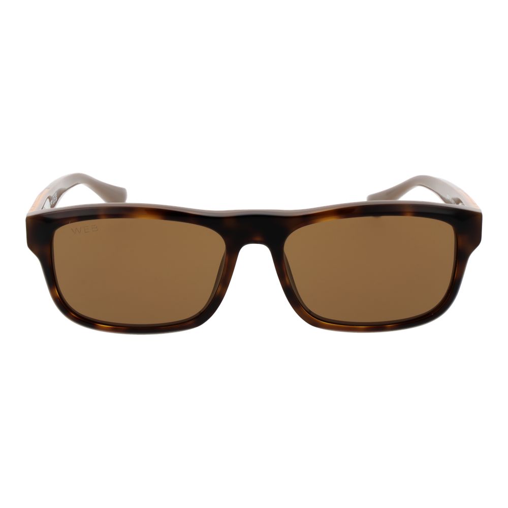 Web Brown Acetate Sunglasses