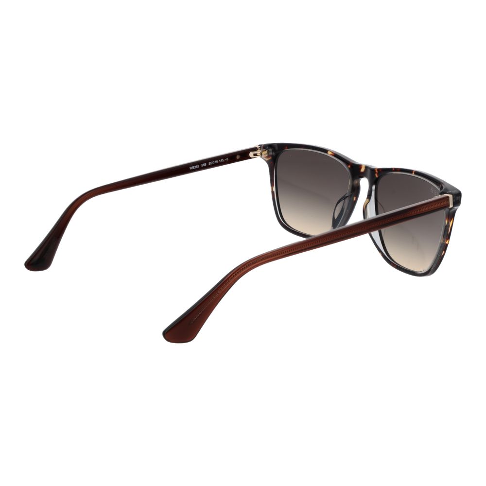 Web Brown Acetate Sunglasses